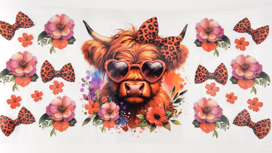 Cow 36