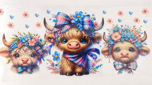 Cow 47