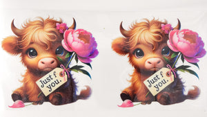 Cow 07
