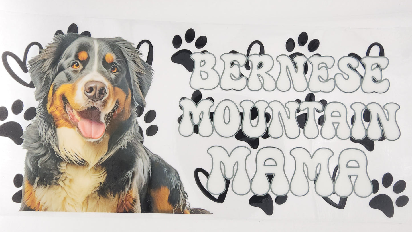 Bernese Mountain 01