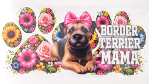 Border Terrier 02