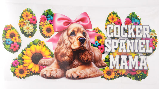 Cocker Spaniel 01