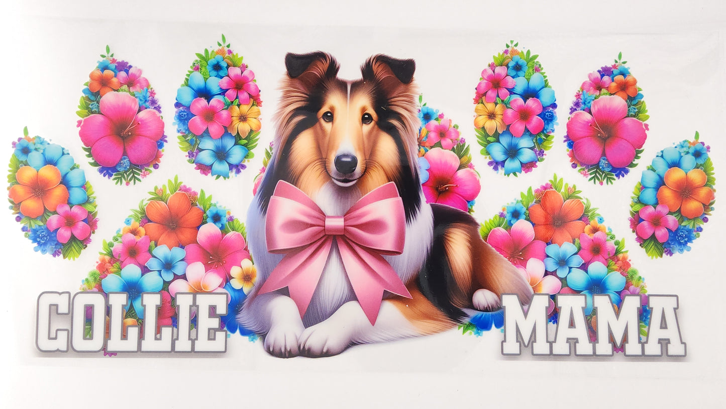 Collie 01