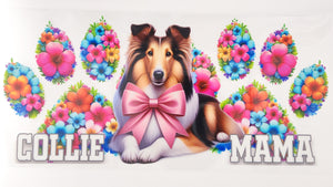 Collie 01