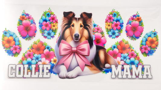 Collie 01