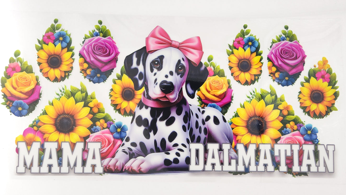 Dalmation 01