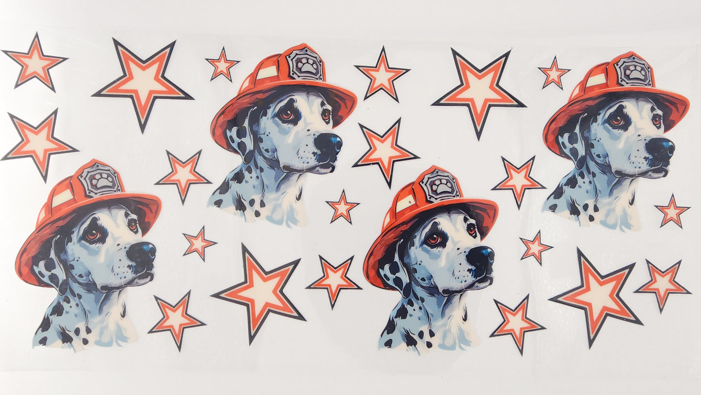 Dalmation 02