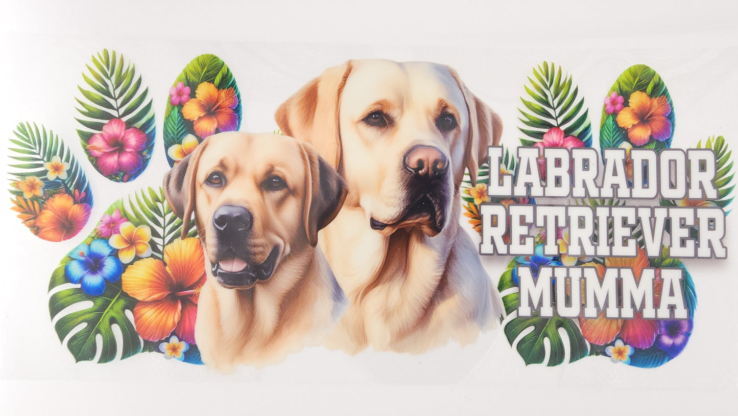 Labrador Retriever 01