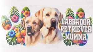 Labrador Retriever 01