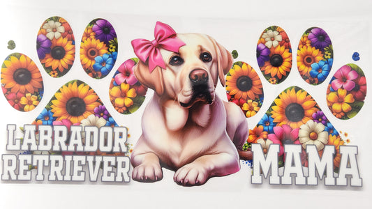 Labrador Retriever 02