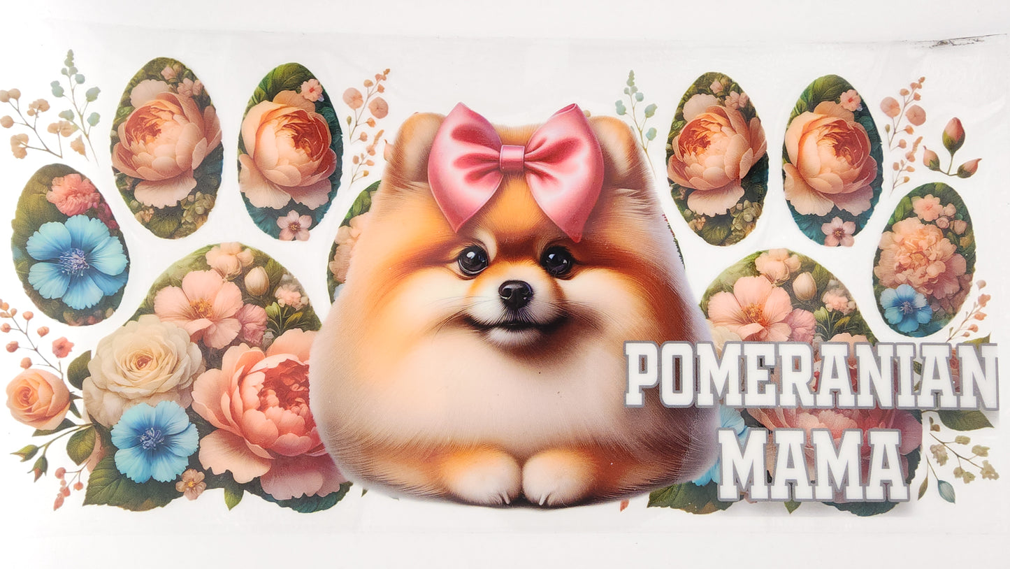 Pomeranian 01