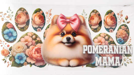 Pomeranian 01