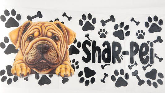 Shar pei 01