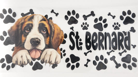 St. Bernard 01