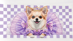 Chihuahua 01
