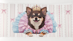 Chihuahua 03