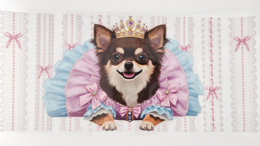 Chihuahua 03