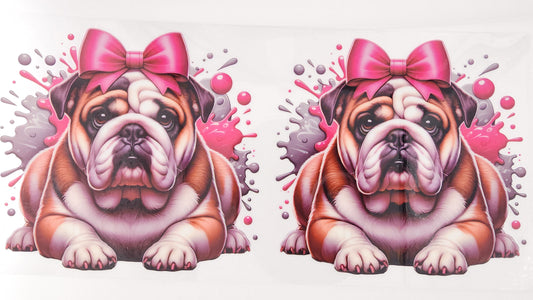 Bulldog 05