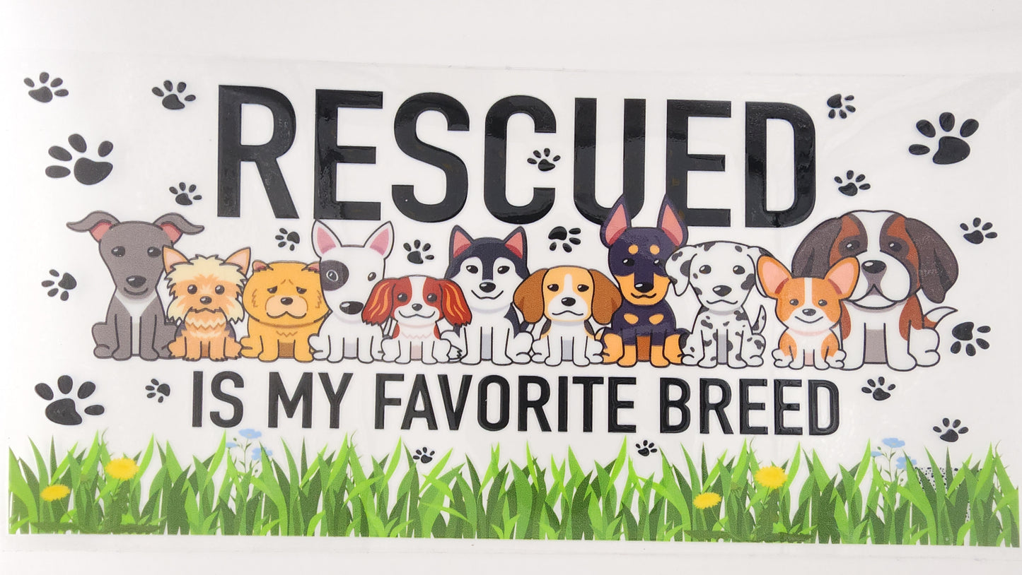 Rescue 01