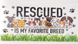 Rescue 01