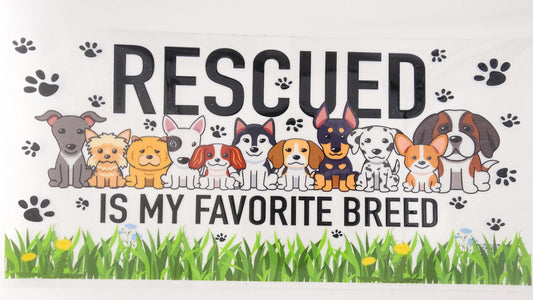 Rescue 01