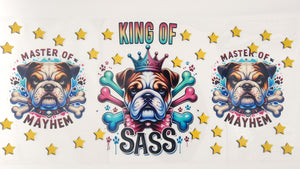 Bulldog 01