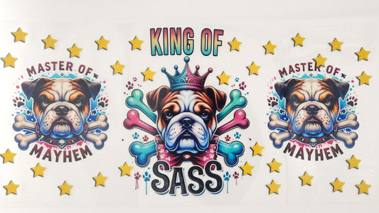 Bulldog 01