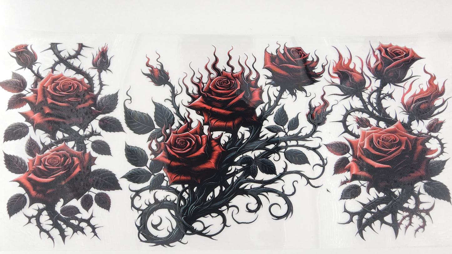 Roses 04