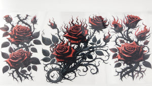 Roses 04