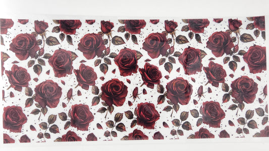 Roses 07