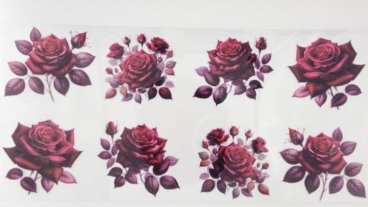 Roses 08
