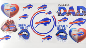 Football Bills 08