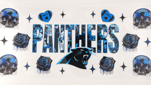 Football Panthers 02