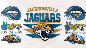 Football Jaguars 04