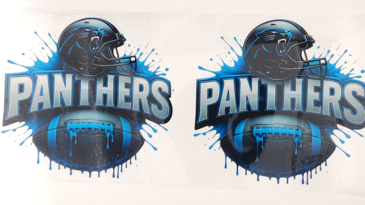 Football Panthers 05