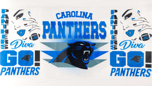 Football Panthers 04