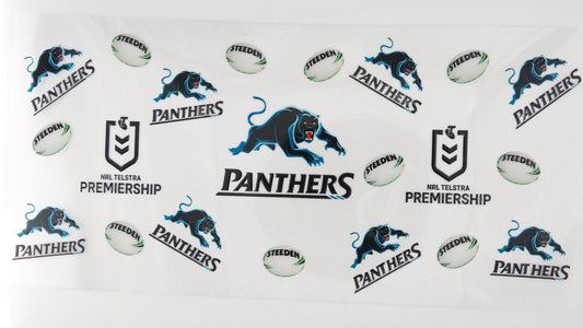 Football Panthers 08