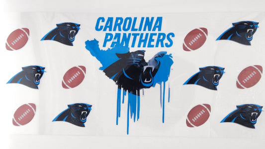 Football Panthers 07