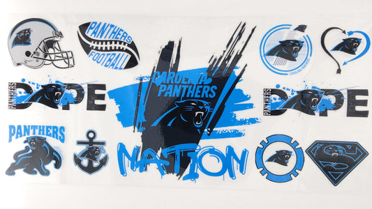 Football Panthers 03