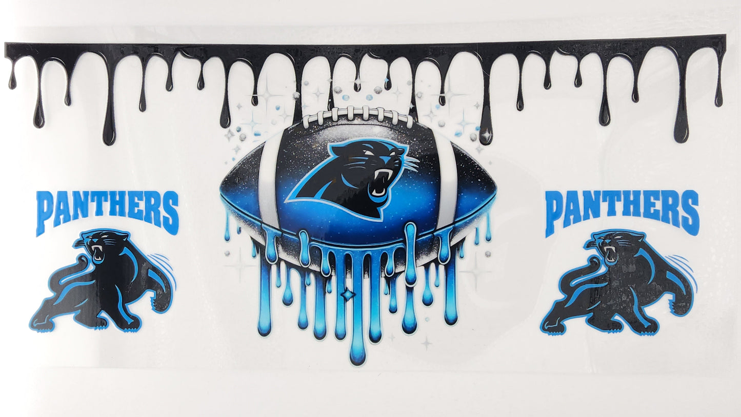 Football Panthers 06