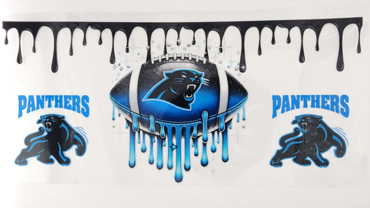 Football Panthers 06