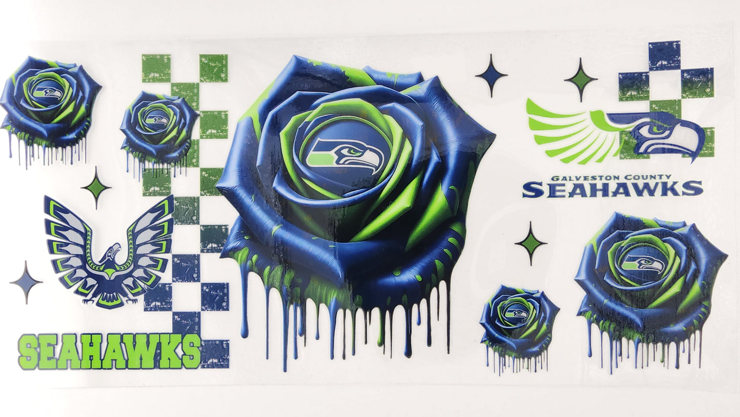 Football Seahawks 07