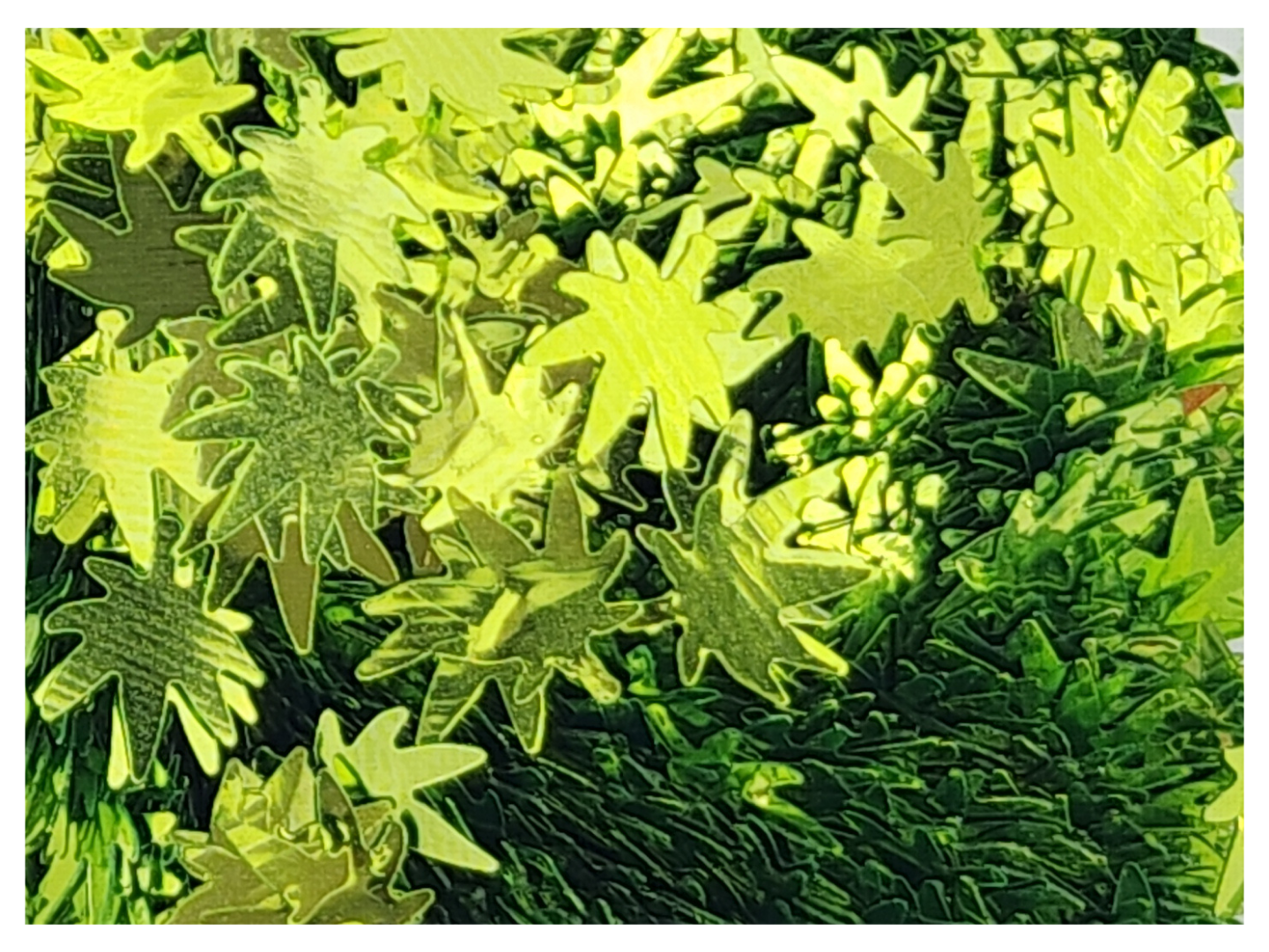 Leaves - Happy