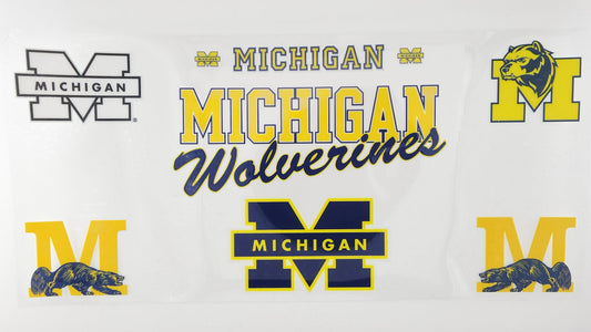 College - Michigan 1