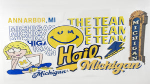 College - Michigan 3