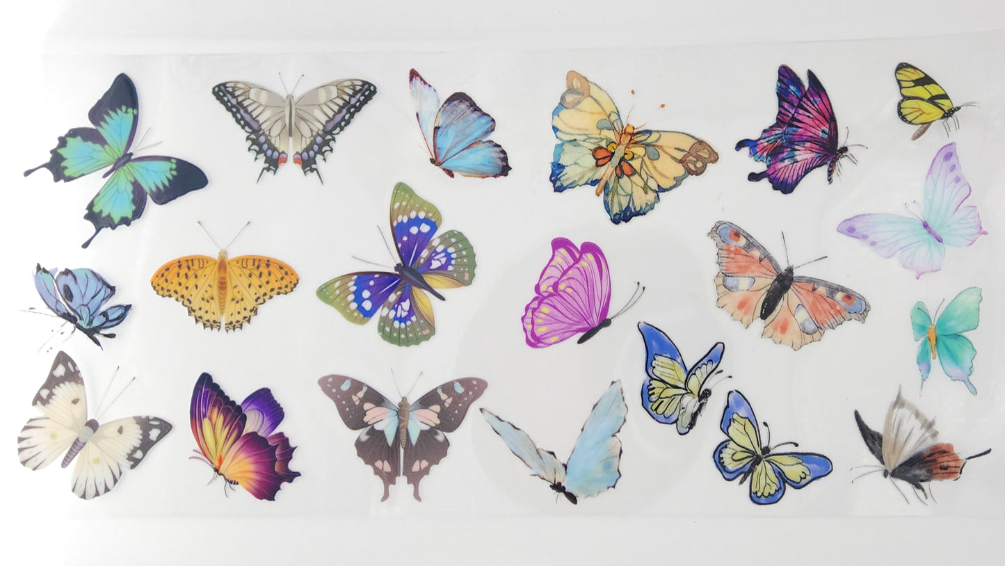 Butterflies 35