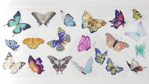 Butterflies 35