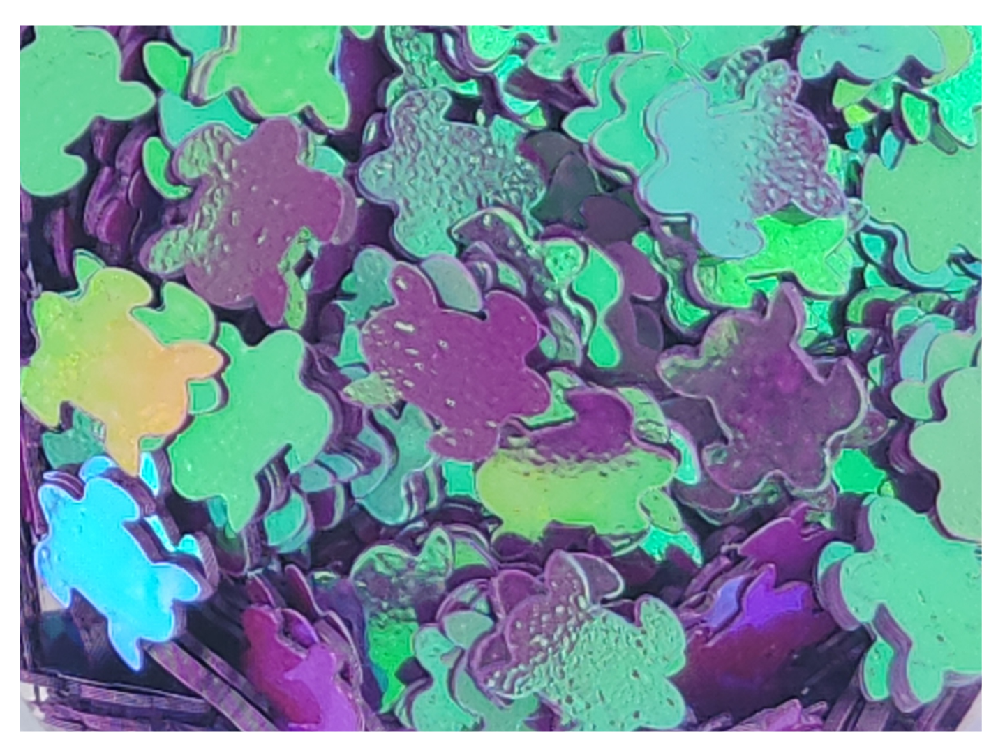 Turtle - Purple