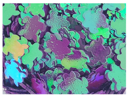 Turtle - Purple