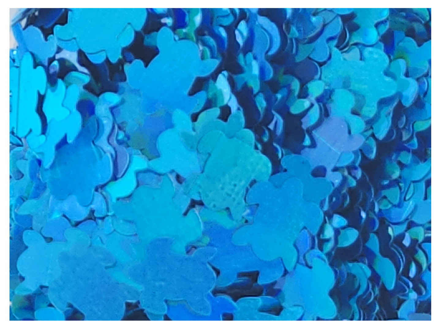 Turtle - Blue